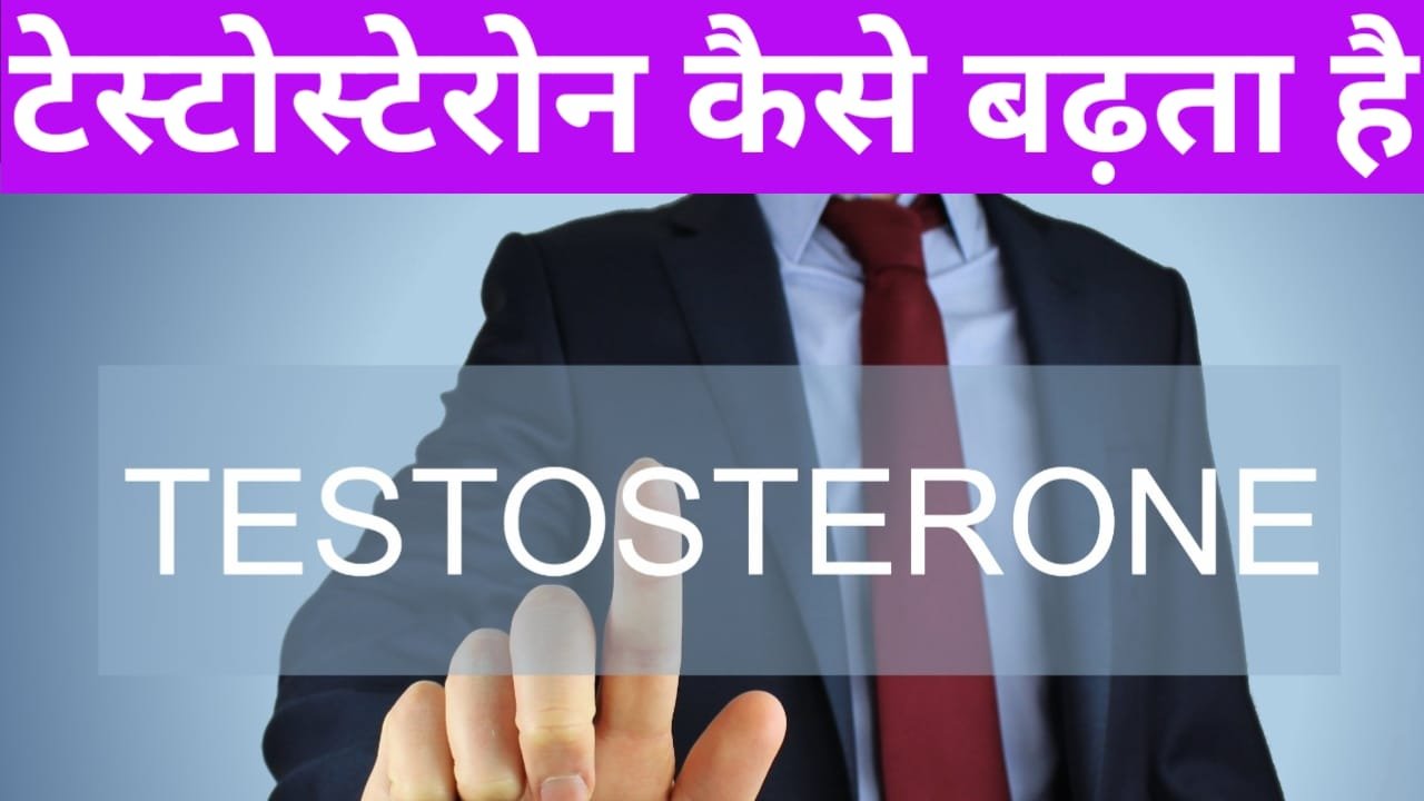 Testosterone kaise badhta hai