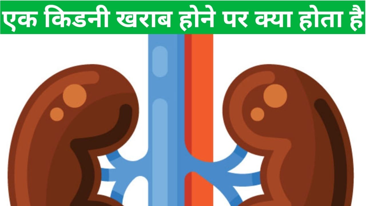 Ek kidney kharab hone par kya hota hai