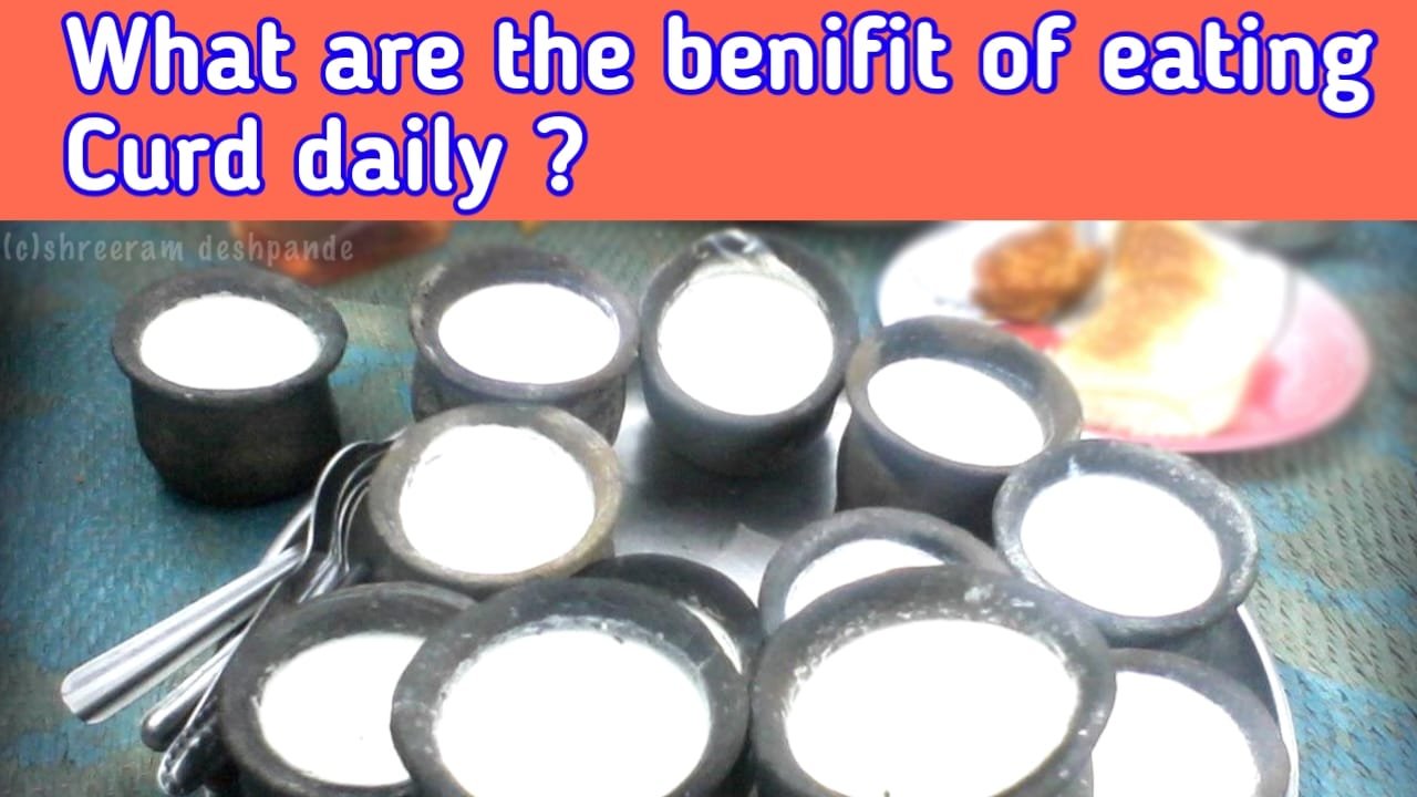 What Is The Benefit Of Eating Curd Daily