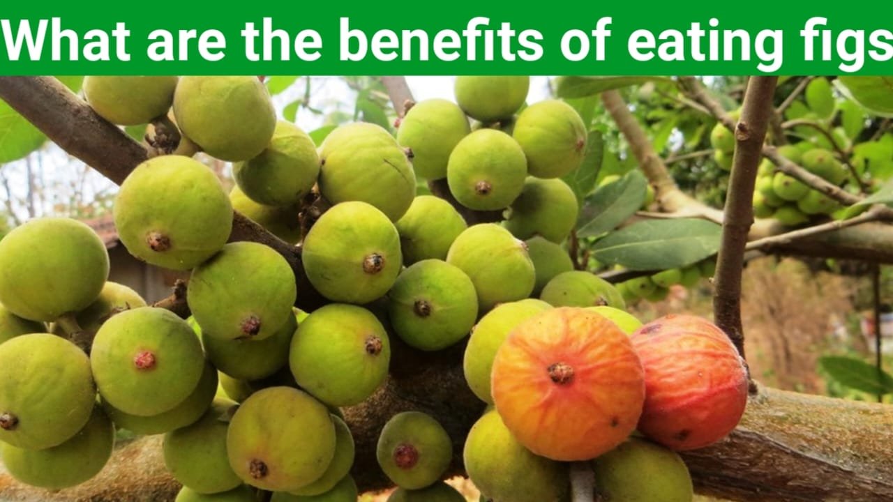 What are the benefits of eating figs ?