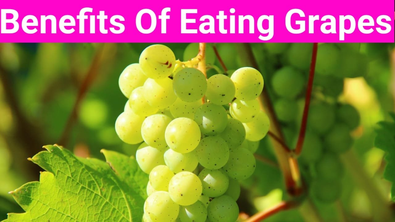 What are the benefits of eating grapes daily