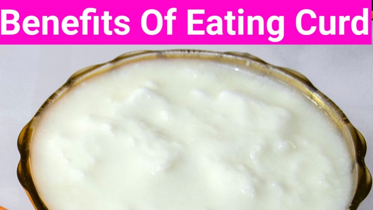 10 Benefits Of Eating Curd