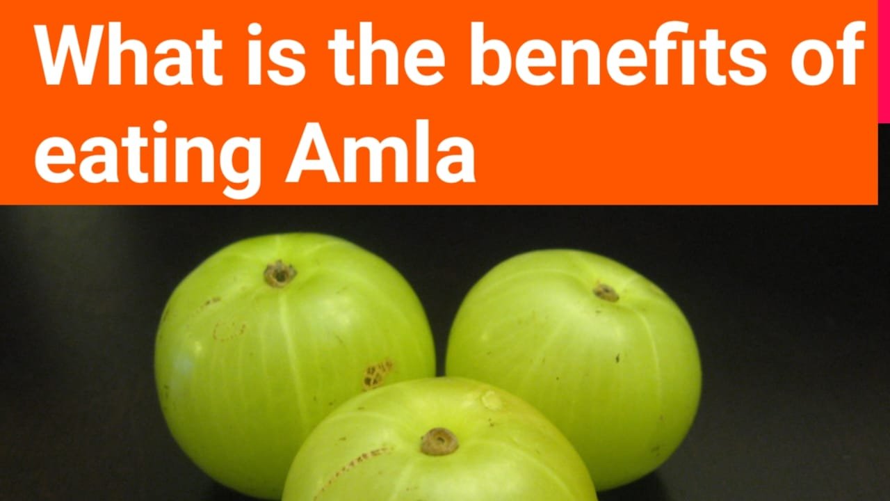 What Are The Benefits Of Eating Amla