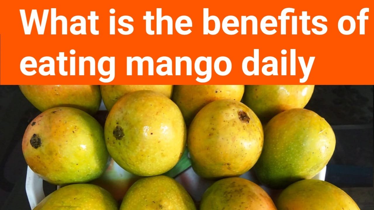 What is the benefit of eating mango daily