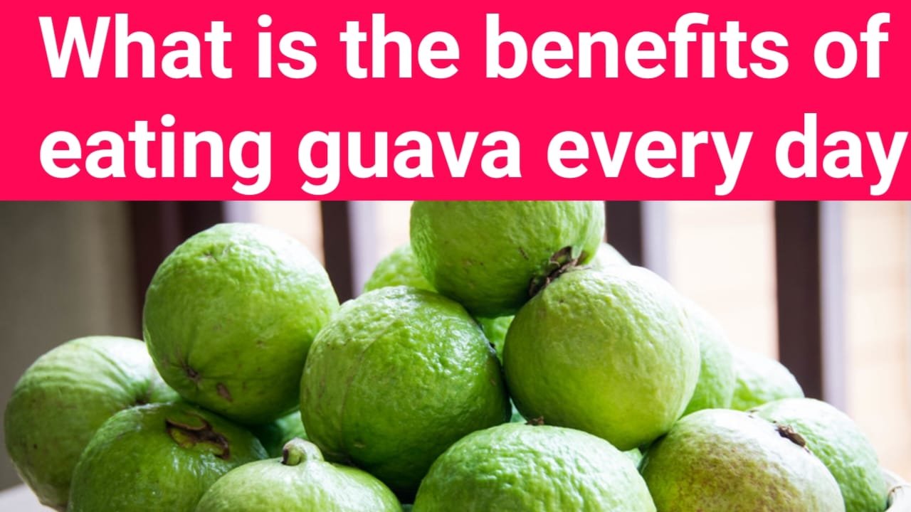 What Is The Benefit Of Eating Guava Every Day?