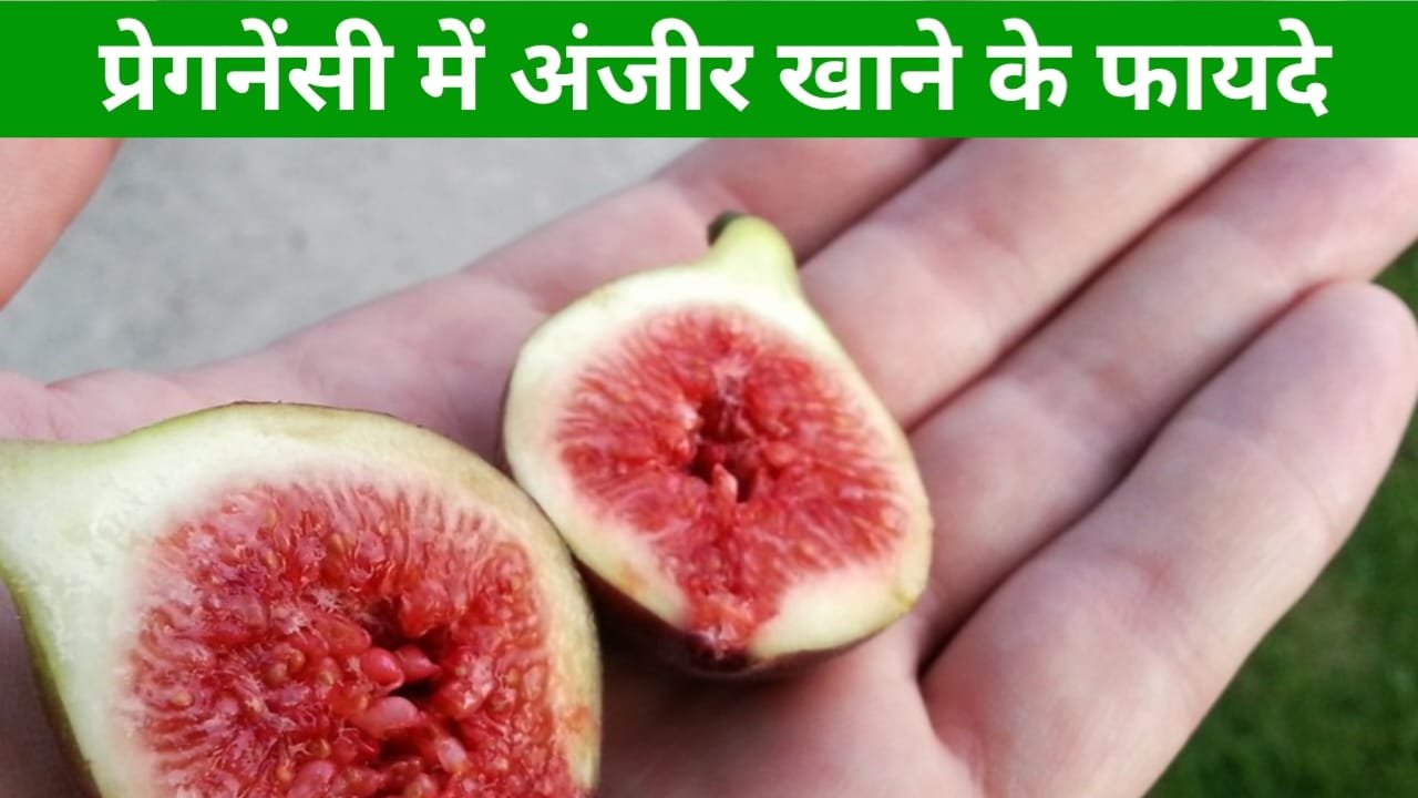 प्रेगनेंसी में अंजीर खाने के फायदे