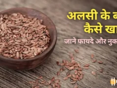Alsi Ke Beej Kaise Khaye: अलसी के बीज कैसे खाएं, फायदे, तरीका और नुकसान! Alsi Ke Beej Kaise Khaye: अलसी के बीज कैसे खाएं, फायदे, तरीका और नुकसान!