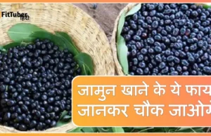 Jamun Khane Ke Fayde – डायबिटीज, स्किन, इम्यूनिटी और वजन घटाने में चमत्कारी फल, ऐसे करे सेवन! Jamun Khane Ke Fayde - डायबिटीज, स्किन, इम्यूनिटी और वजन घटाने में चमत्कारी फल, ऐसे करे सेवन!
